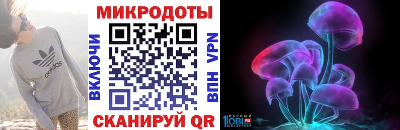 Псилоцибиновые грибы Psilocybe  Югорск 